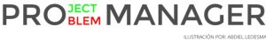 project problem manager
